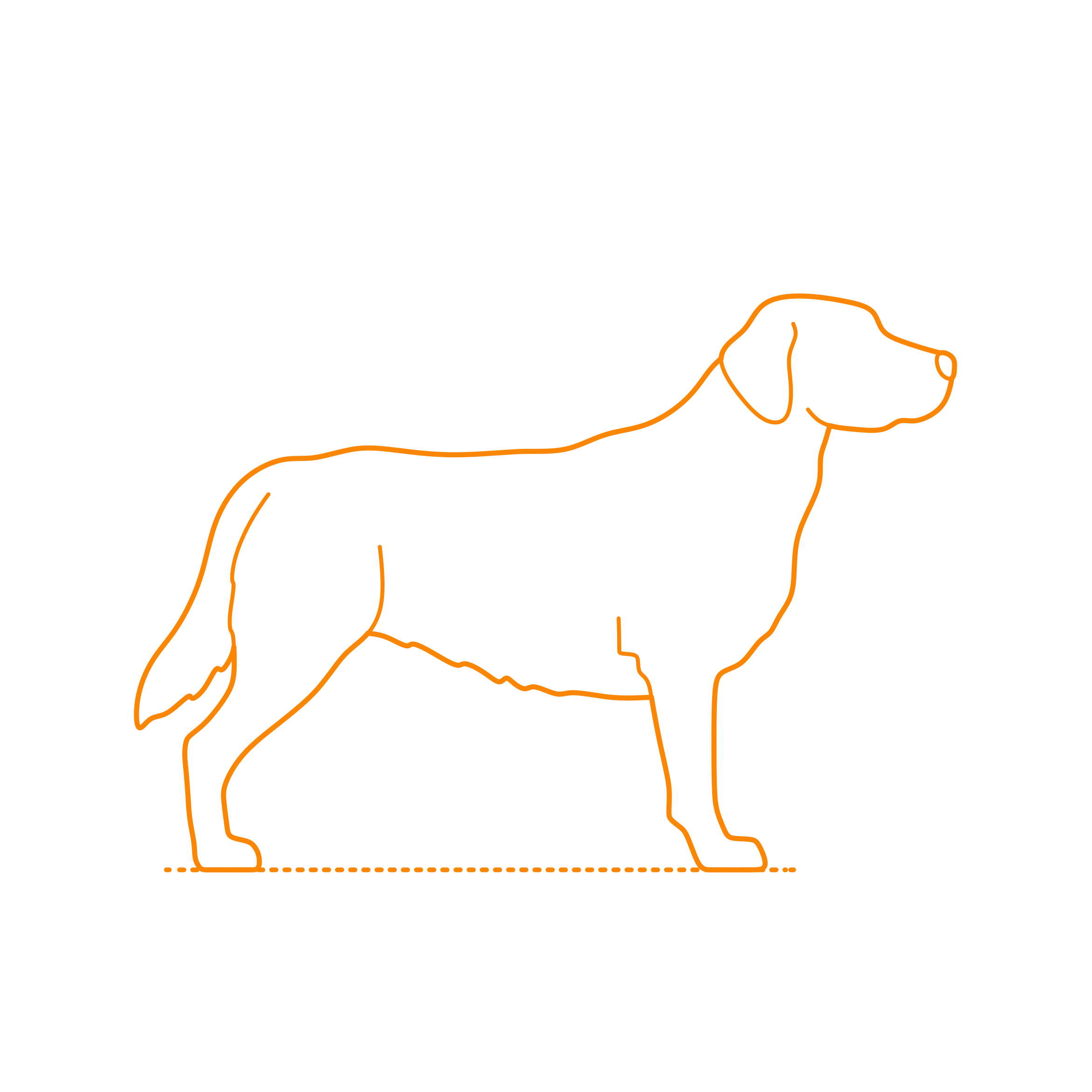Animals Dogs Labrador Retriever Svg Line Art Free Vectors